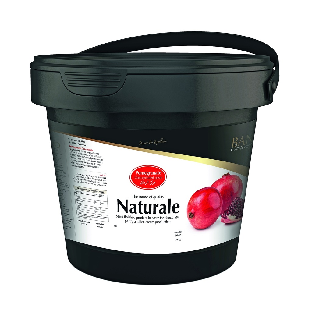 Pomegranate Concentrated Paste Natural