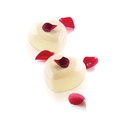 قالب سيلكون